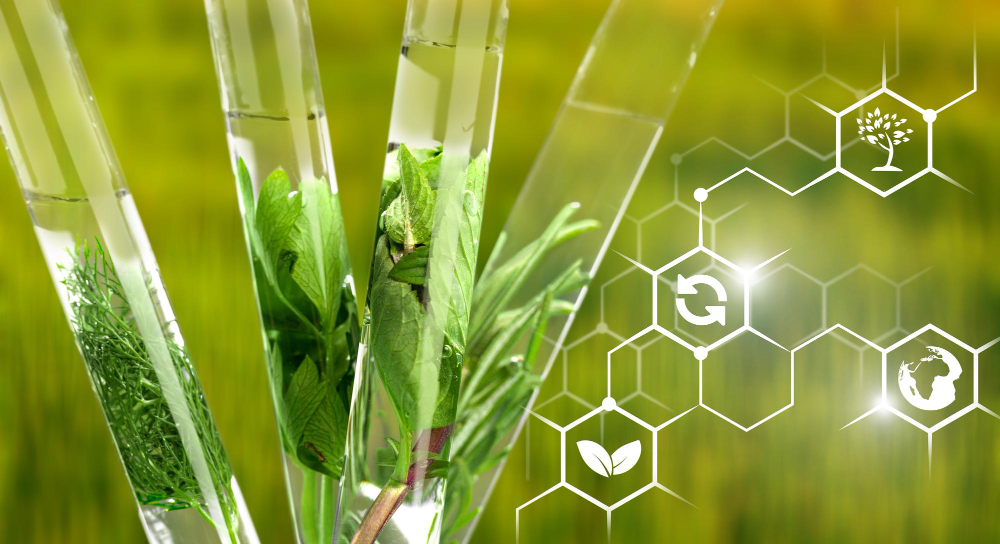 Where to Buy Agrochemical Raw Materials? A Complete Guide for Manufacturers and Distributors