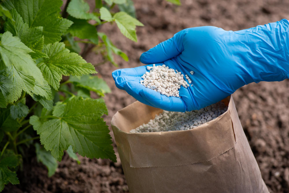 Where to buy agrochemical raw materials? What Buyers Must Consider Before Sourcing